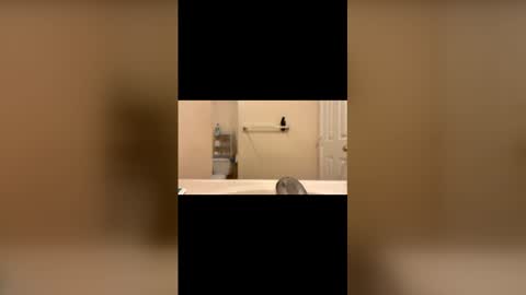 hungbwc99999 online show from January 13, 2026, 3:12 am