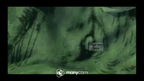 Snapshot of hungc2c420 chatting on March 10, 2026, 3:28 pm hung420boner online show from March 10, 2026, 3:28 pm