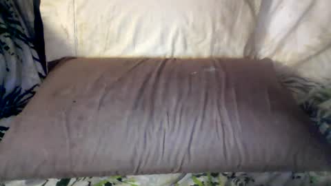 Snapshot of hungc2c420 chatting on June 12, 2026, 8:02 am hung420boner online show from June 12, 2026, 8:02 am