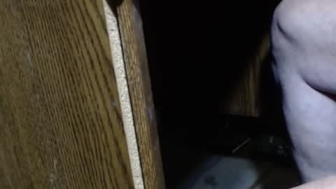 hungsofine online show from December 15, 2024, 9:09 pm