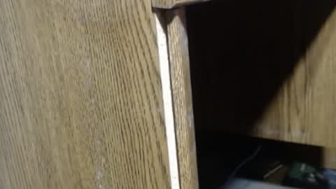 hungsofine online show from December 18, 2024, 4:06 pm