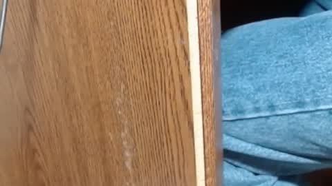 hungsofine online show from January 8, 2025, 6:52 pm