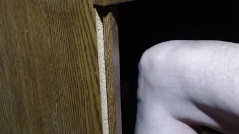 hungsofine online show from January 12, 2025, 8:57 pm