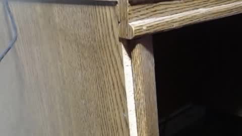 hungsofine online show from February 19, 2025, 6:54 pm