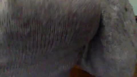 Goddess Hunyy online show from March 1, 2025, 10:10 pm