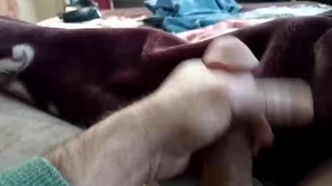 husky1511 online show from November 11, 2025, 9:20 am