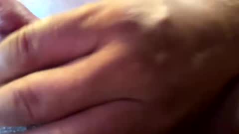 hvalbrecht online show from January 12, 2025, 2:24 am