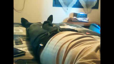 Snapshot of iagreeto chatting on February 3, 2025, 1:30 pm iagreeto online show from February 3, 2025, 1:30 pm