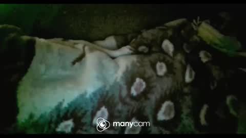 Snapshot of iam_jp084 chatting on February 5, 2025, 10:19 am JP online show from February 5, 2025, 10:19 am