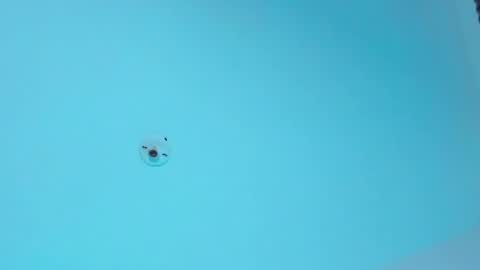 NAHO online show from May 22, 2026, 9:42 pm