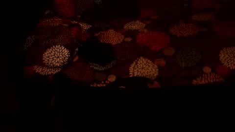 MADAM  MISTRESS ASIANA online show from December 21, 2025, 4:25 pm