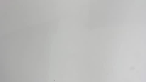 IAN CASTILLO online show from February 22, 2025, 11:02 am