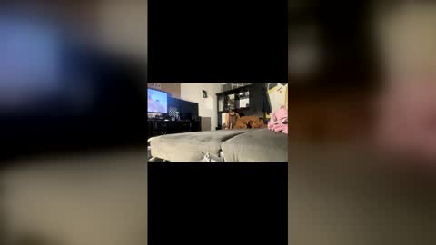 ibigboy666 online show from April 20, 2026, 12:57 am