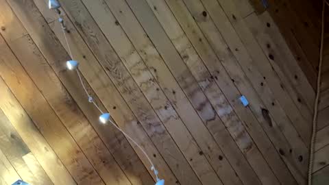 Snapshot of icanmakeyousquirt69 chatting on March 17, 2026, 9:18 pm icanmakeyousquirt69 online show from March 17, 2026, 9:18 pm