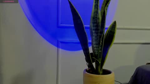 Crystall online show from October 2, 2025, 4:41 am