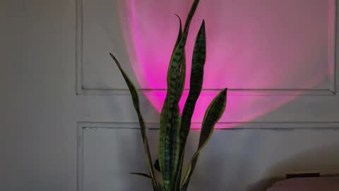 Crystall online show from October 3, 2025, 5:37 am