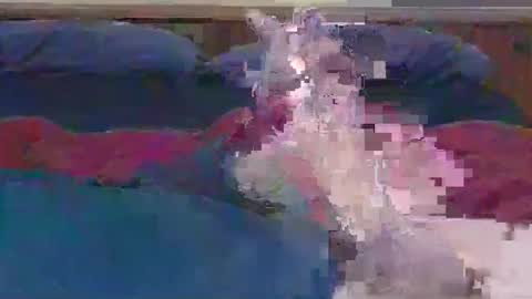 Snapshot of ihavebigballs00 chatting on December 17, 2024, 3:06 am ihavebigballs00 online show from December 17, 2024, 3:06 am