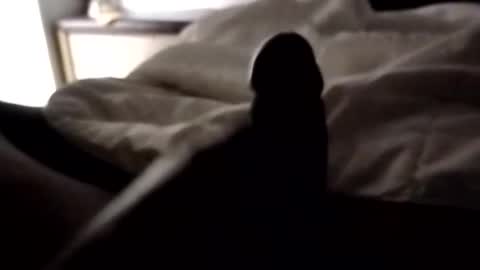 ihktqjtwzczh online show from April 7, 2026, 9:43 am