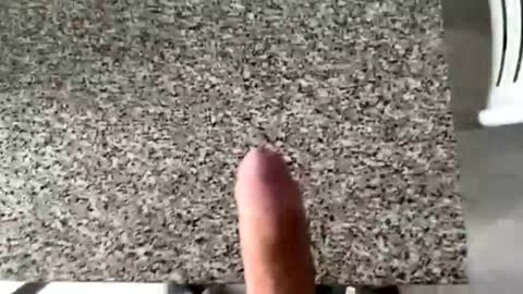 ilconte81 online show from March 10, 2026, 2:33 pm