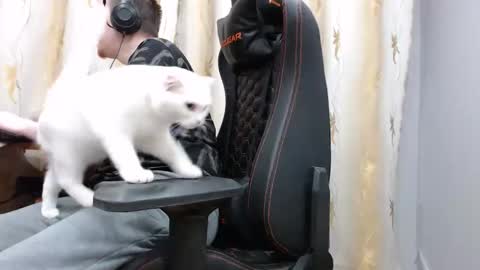 lord online show from November 7, 2025, 1:44 pm