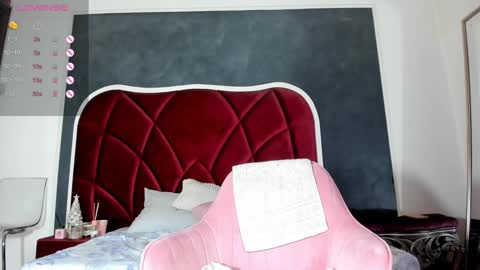 illegal_lorry online show from December 22, 2024, 11:11 am