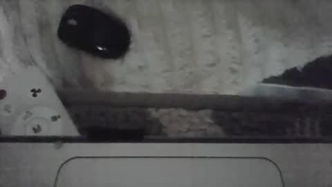 iloveitall86 online show from April 19, 2026, 6:10 pm