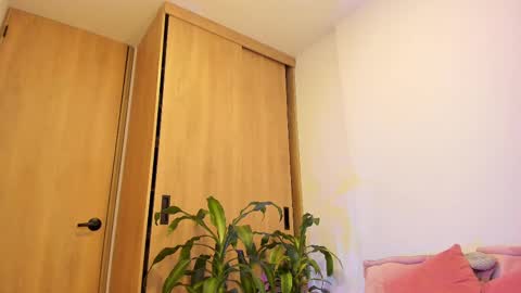 Luna online show from February 26, 2025, 6:04 am