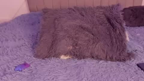 Snapshot of im_tiffany_ chatting on March 5, 2026, 4:19 am im tiffany online show from March 5, 2026, 4:19 am