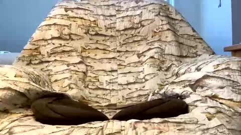 thanks for visiting online show from December 16, 2025, 4:23 pm