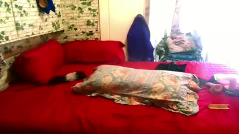 indian_blaze00 online show from February 4, 2025, 1:27 pm