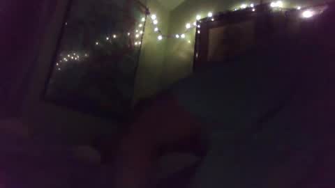 indigo_scorpio online show from February 8, 2025, 11:12 am