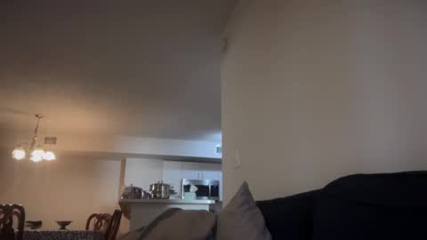 Snapshot of indiscriminator chatting on October 18, 2025, 8:20 pm just1dude online show from October 18, 2025, 8:20 pm