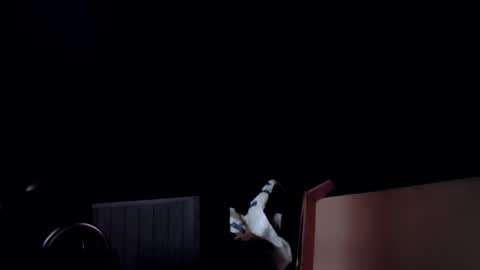 Snapshot of info_chat chatting on February 24, 2026, 3:26 am sir. Grummps online show from February 24, 2026, 3:26 am