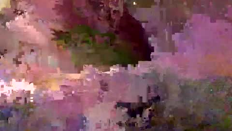 inhertube15 online show from December 28, 2024, 10:03 am