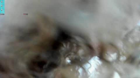 cesar and daniela online show from February 8, 2025, 8:42 pm