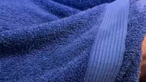 Snapshot of intressiert chatting on December 30, 2024, 1:25 pm intressiert online show from December 30, 2024, 1:25 pm