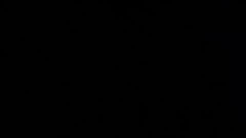 iridisit online show from April 12, 2026, 8:41 am