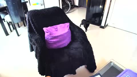 Snapshot of irinastephann chatting on February 15, 2025, 4:45 pm irina online show from February 15, 2025, 4:45 pm