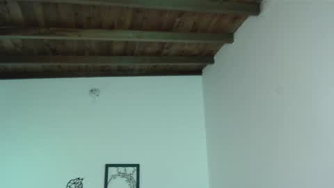 Iris online show from January 16, 2025, 6:06 pm