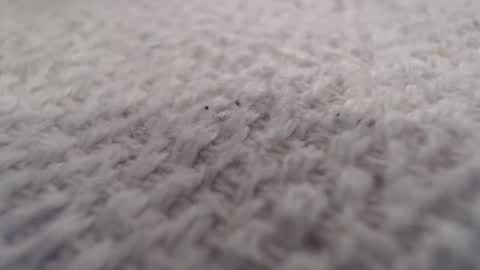 ironman383838 online show from October 20, 2025, 9:59 pm