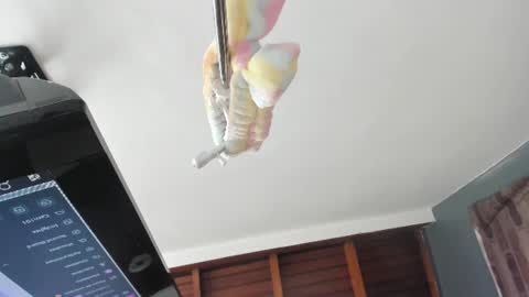 Snapshot of isabela_gomez3 chatting on June 15, 2026, 1:57 pm Isabela online show from June 15, 2026, 1:57 pm