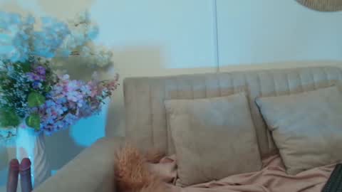 isabelgh_ online show from February 1, 2026, 3:27 am