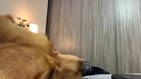 Isa online show from October 7, 2025, 1:47 am