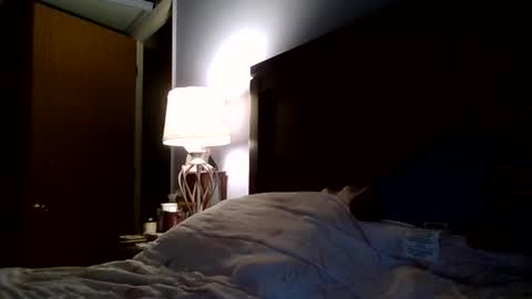 Snapshot of isiah0158 chatting on March 5, 2026, 10:17 pm youngking online show from March 5, 2026, 10:17 pm