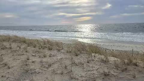 Jim online show from August 1, 2026, 9:19 am