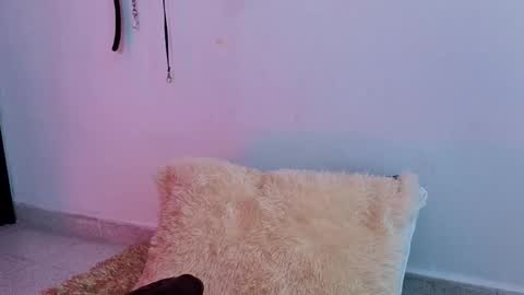 Issafoxx online show from April 13, 2026, 12:10 pm