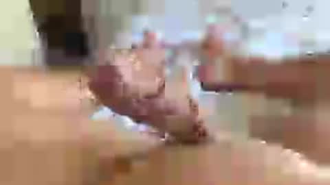 Snapshot of italianxsalami chatting on July 16, 2026, 3:07 pm italianxsalami online show from July 16, 2026, 3:07 pm