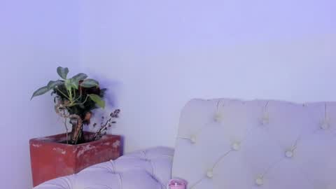 Maria online show from December 22, 2024, 2:27 pm