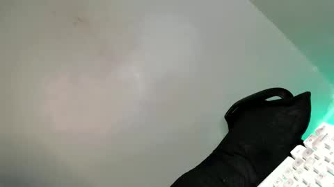 Bella online show from February 21, 2025, 7:56 am