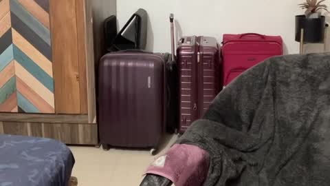 Raje online show from October 4, 2025, 12:03 pm